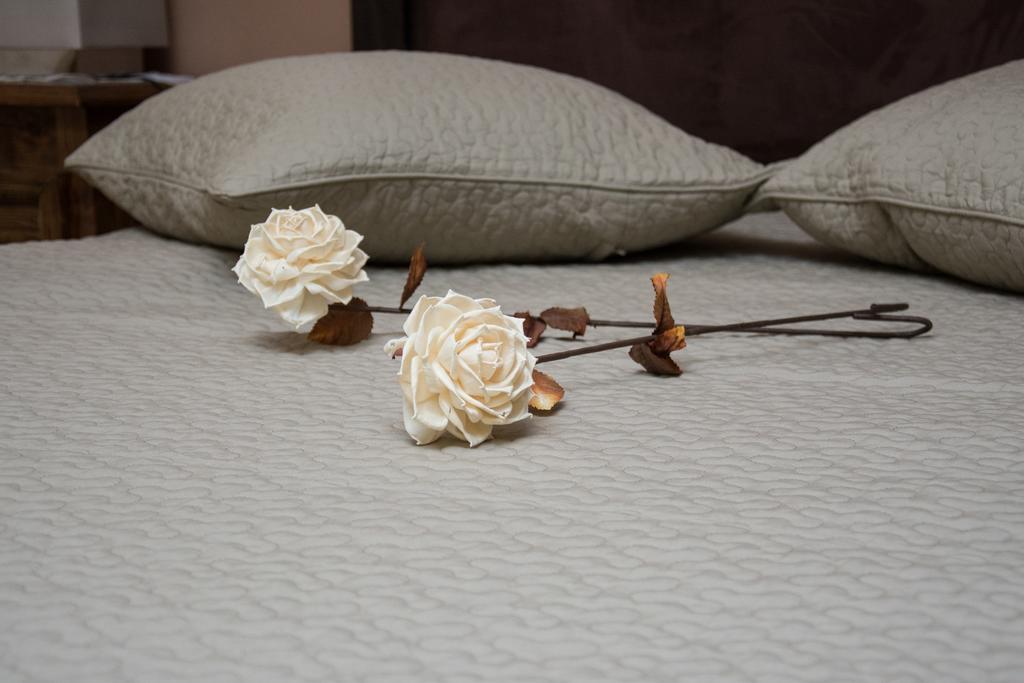 Dione Apartments อูรานูโปลี ภายนอก รูปภาพ